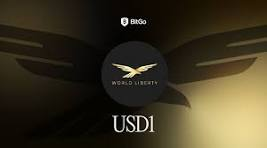USD1 Floating